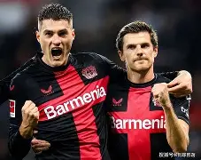 开云体育 注册-法甲赛程吃紧，布莱顿今晨刷新队史纪录，震撼外界，赛季目标并未改变的简单介绍